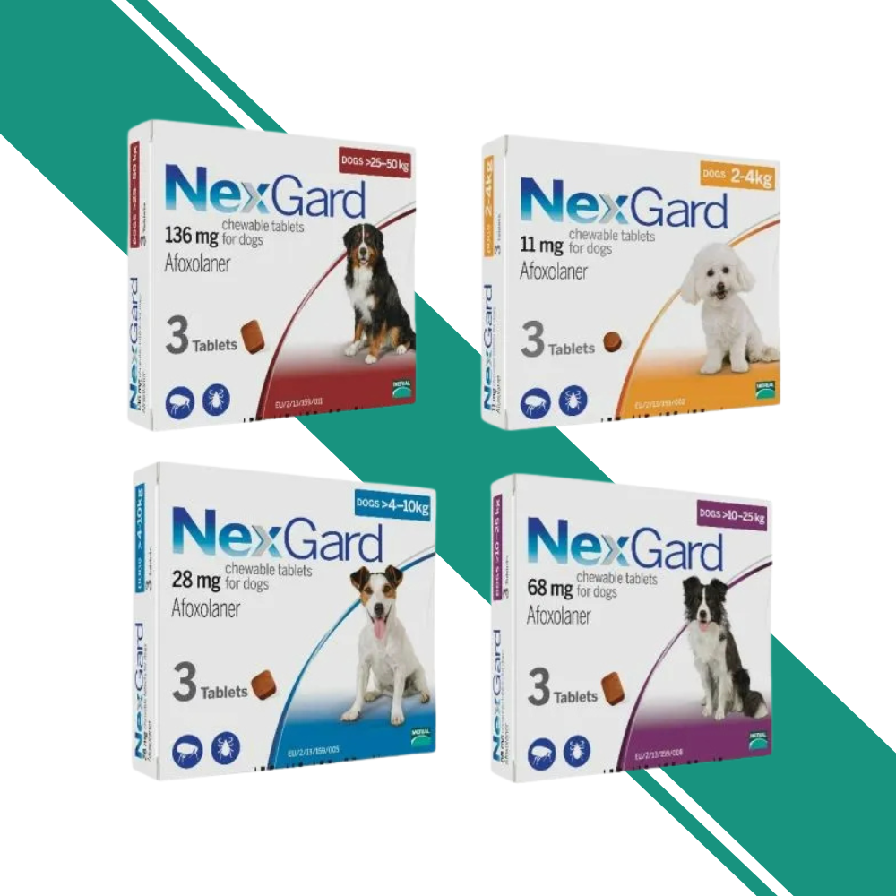 NexGard Chewable Tablets for Dogs